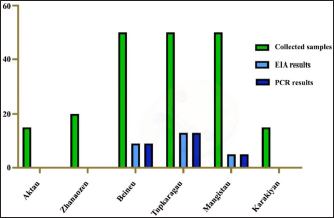 Characterization of the camel pox virus strain used in producing camel ...